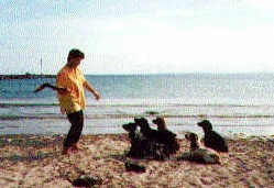 Urlaub Ostsee 2000